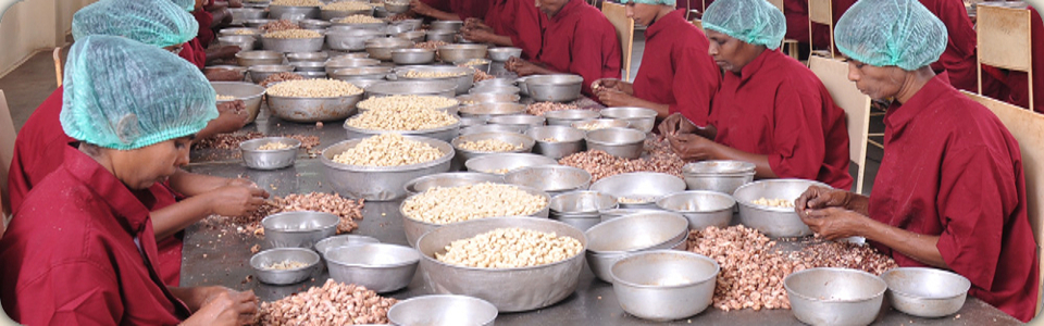 ISO 22000:2005 AND HACCP CERTIFIED COMPANY