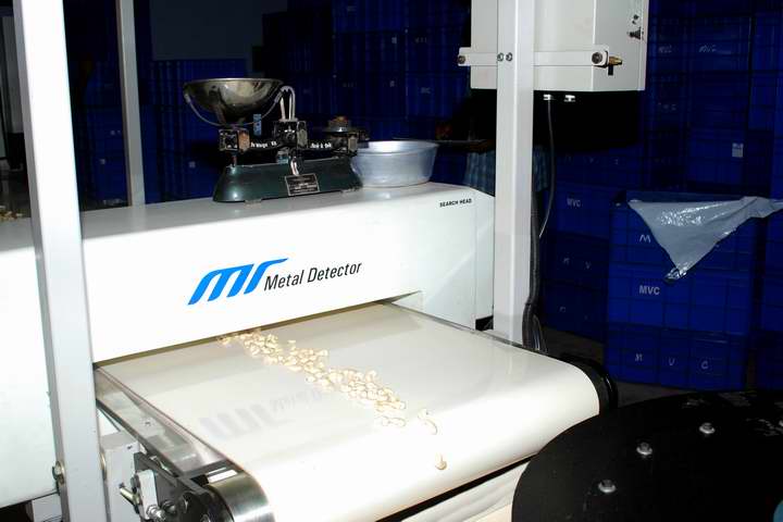 cashew metal dictetor