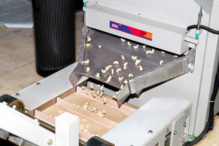cashew remover to elevator