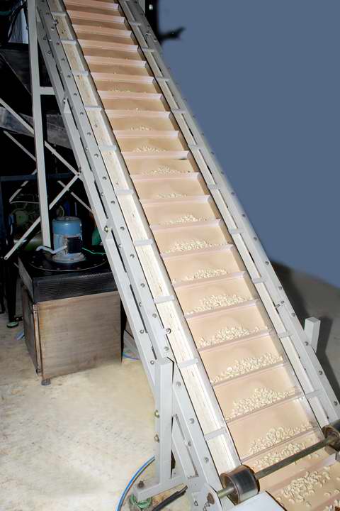 cashew elevator to hopper