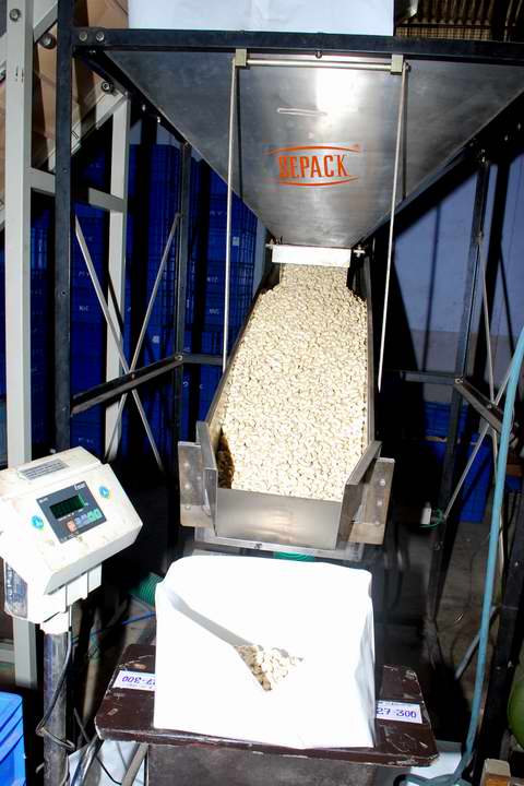 cashew pouch